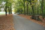 De Levie Bank