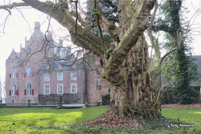 2018 - 180217144407TLG