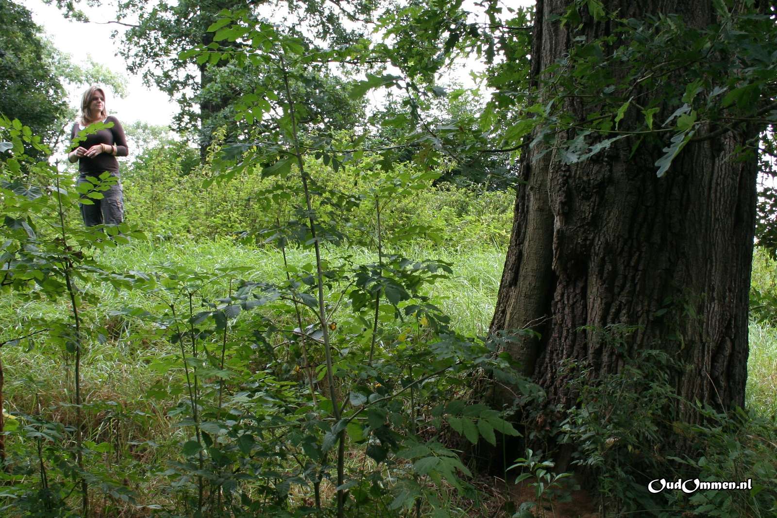 2007 - 20070831120138