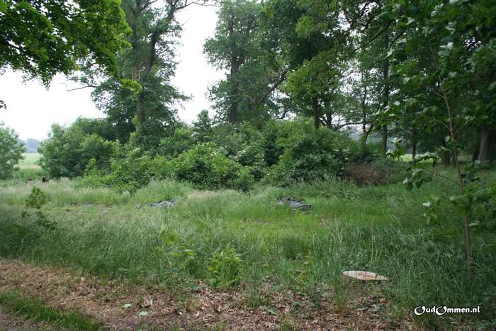 2008 - 20080530133648