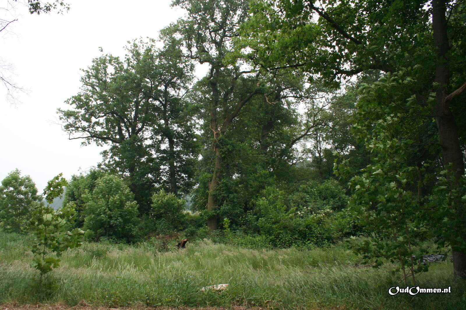 2008 - 20080530133747