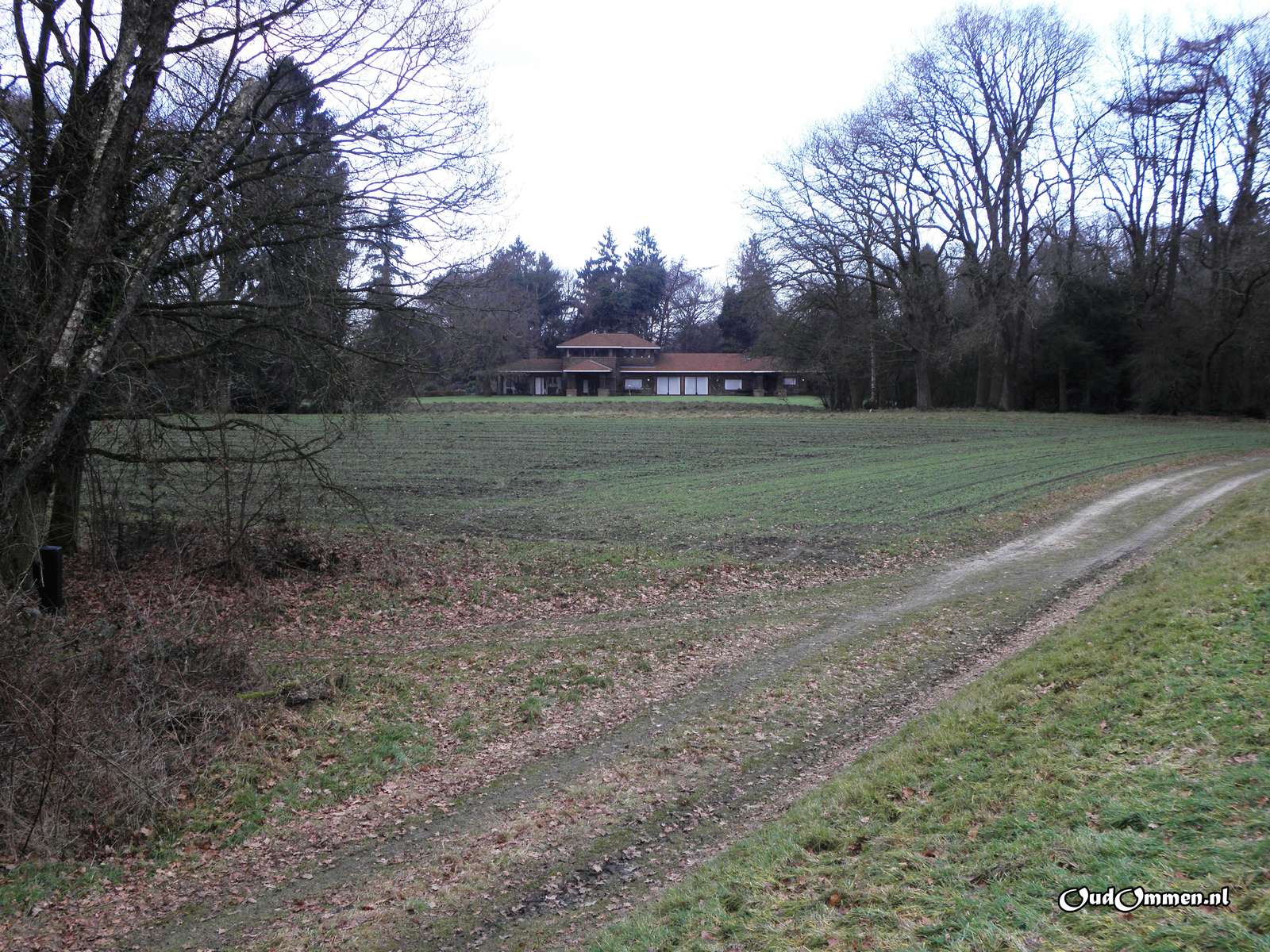 2011 - 20110116134313