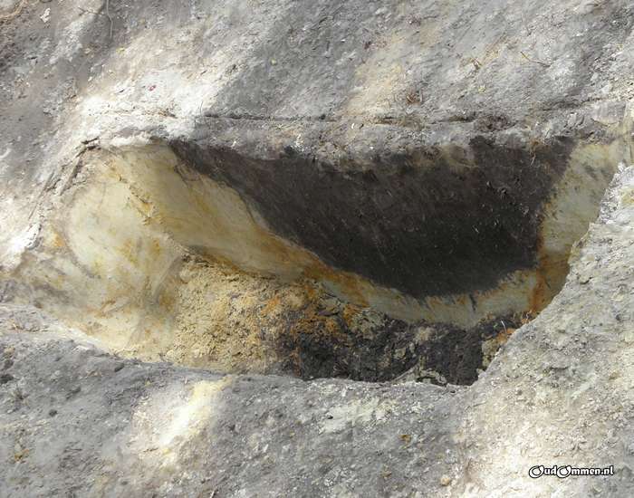 2011 - 20110511133854