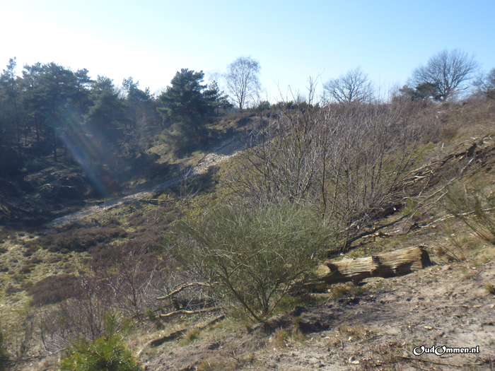 2018 - 20180225144658