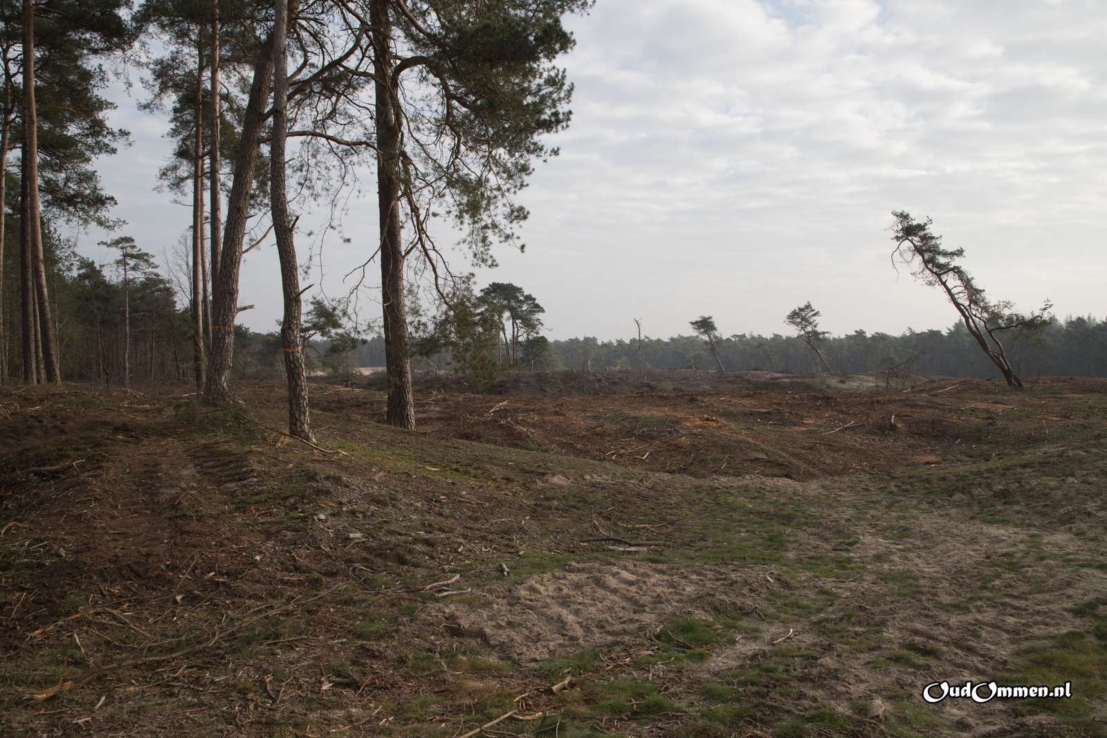 2020 - 20200202141045