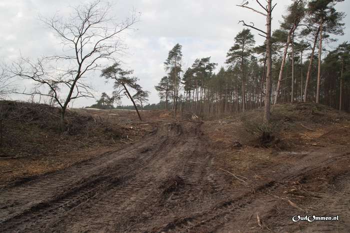 2020 - 20200202141055