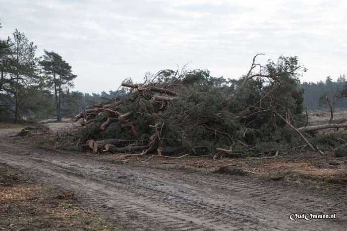 2020 - 20200202141104