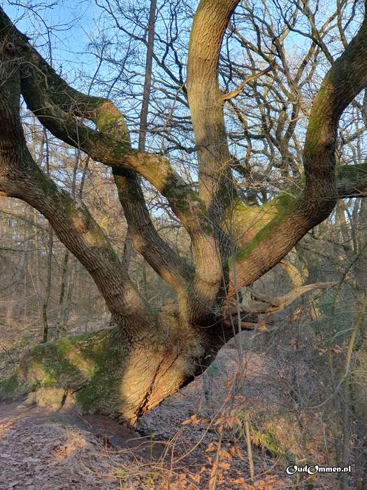 2023 - 20230206161424