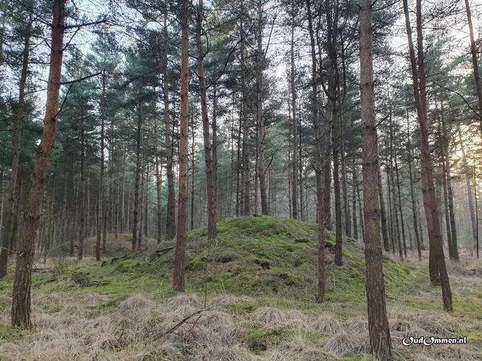 2023 - 20230206162517