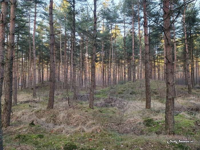 2023 - 20230206162727