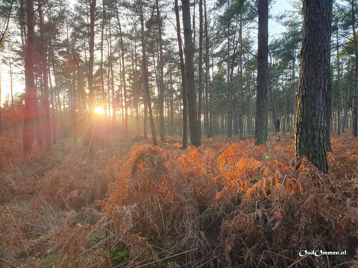 2023 - 20230206164633