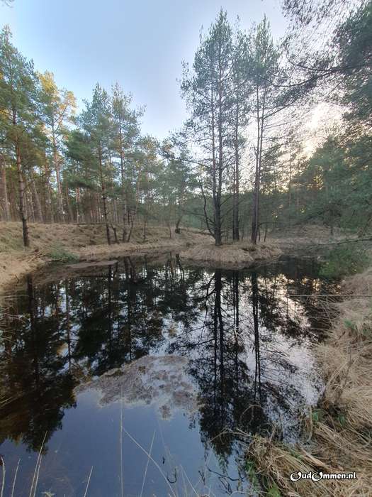 2023 - 20230206164908