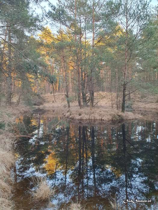 2023 - 20230206165031