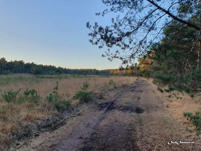 2023 - 20230206165310