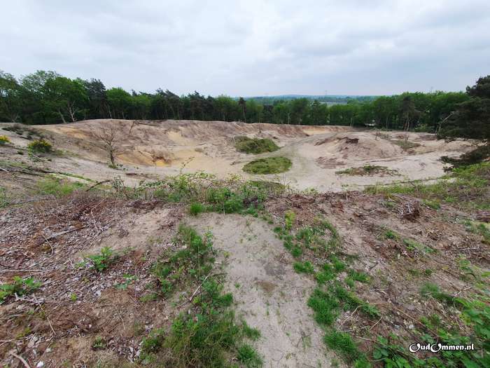 2023 - 20230515172627