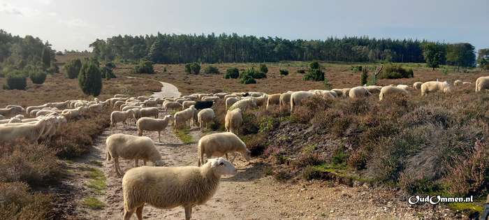 2023 - 20230919105208