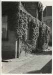 1939 - AJ0001-1