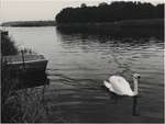 1975 - BX0039a-1