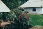 1992 - EJ0007-1