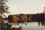 1984 - EL0007-1