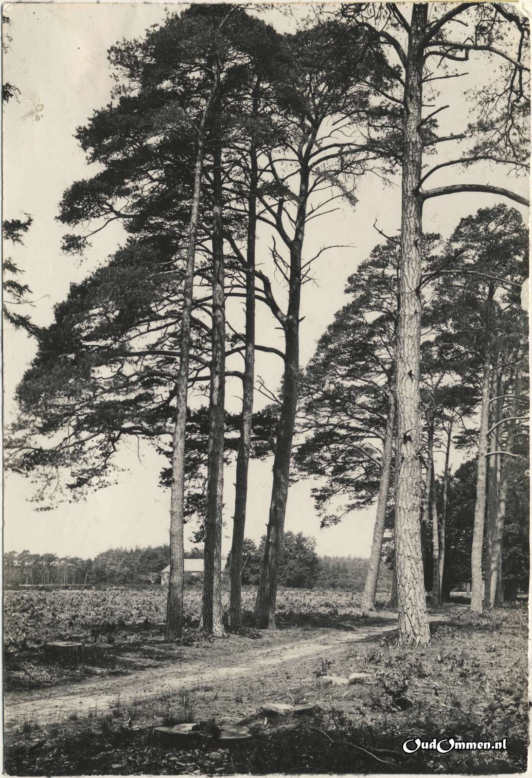 1904 - FH0003-1