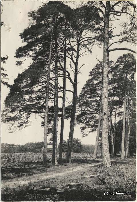 1904 - FH0003-1