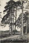 1904 - FH0003-1