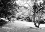 ca. 1965 - FH0112