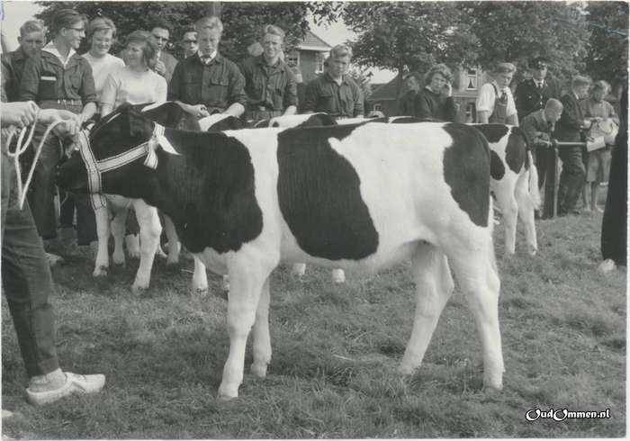19xx - GW0132
