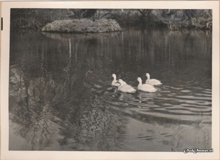 ca. 1960 - GW0225