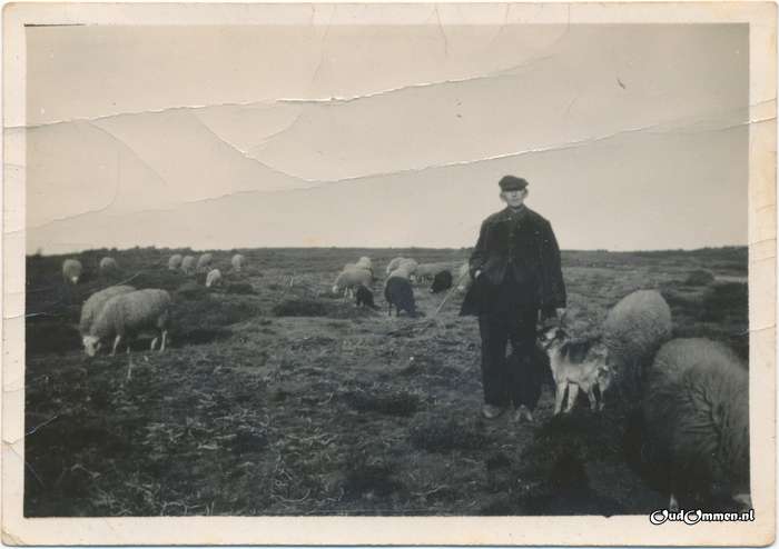 ca. 1960 - GZ0404