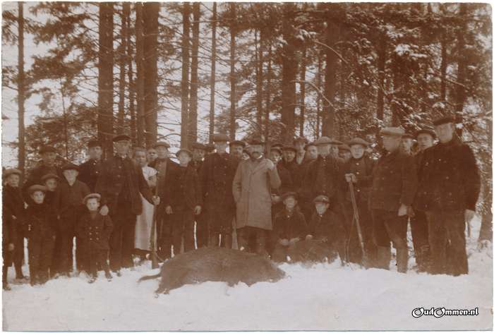 1919 - IE0001