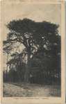 1917 - IJ0100