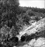 ca. 1957 - JP0178-15