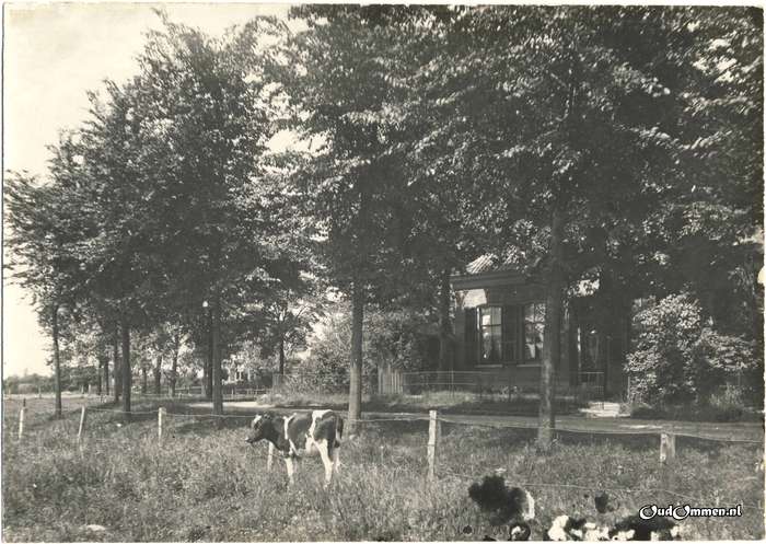1904 - KU0042-1