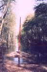 1982 - LC0121