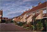 Roodborst