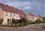 Scholekster