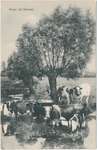 ≤ 1915 - QS0026