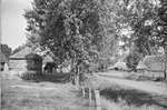 1966 - RCE115017a