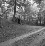 1977 - RCE189380