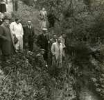1954 - WB0037