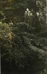 1954 - WB0038