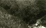 1954 - WB0039