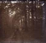 19xx - YC0047