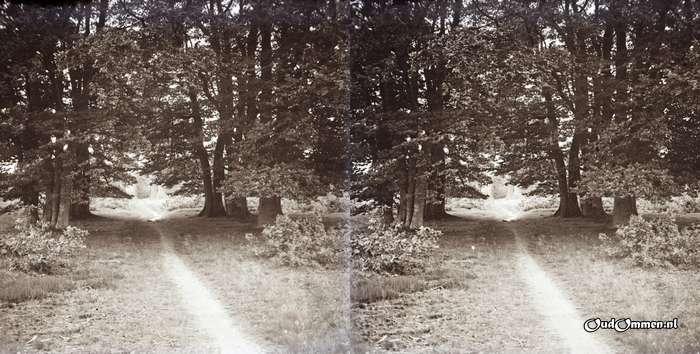 19xx - YC0073-3D