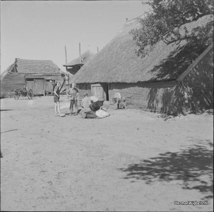 ca. 1957 - dsc_24500