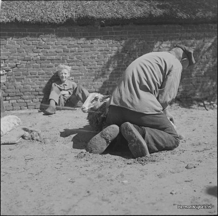 ca. 1957 - dsc_24510