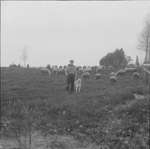 ca. 1961 - dsc_24529