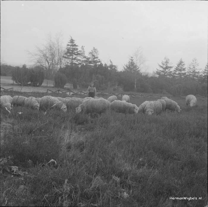 ca. 1961 - dsc_24530